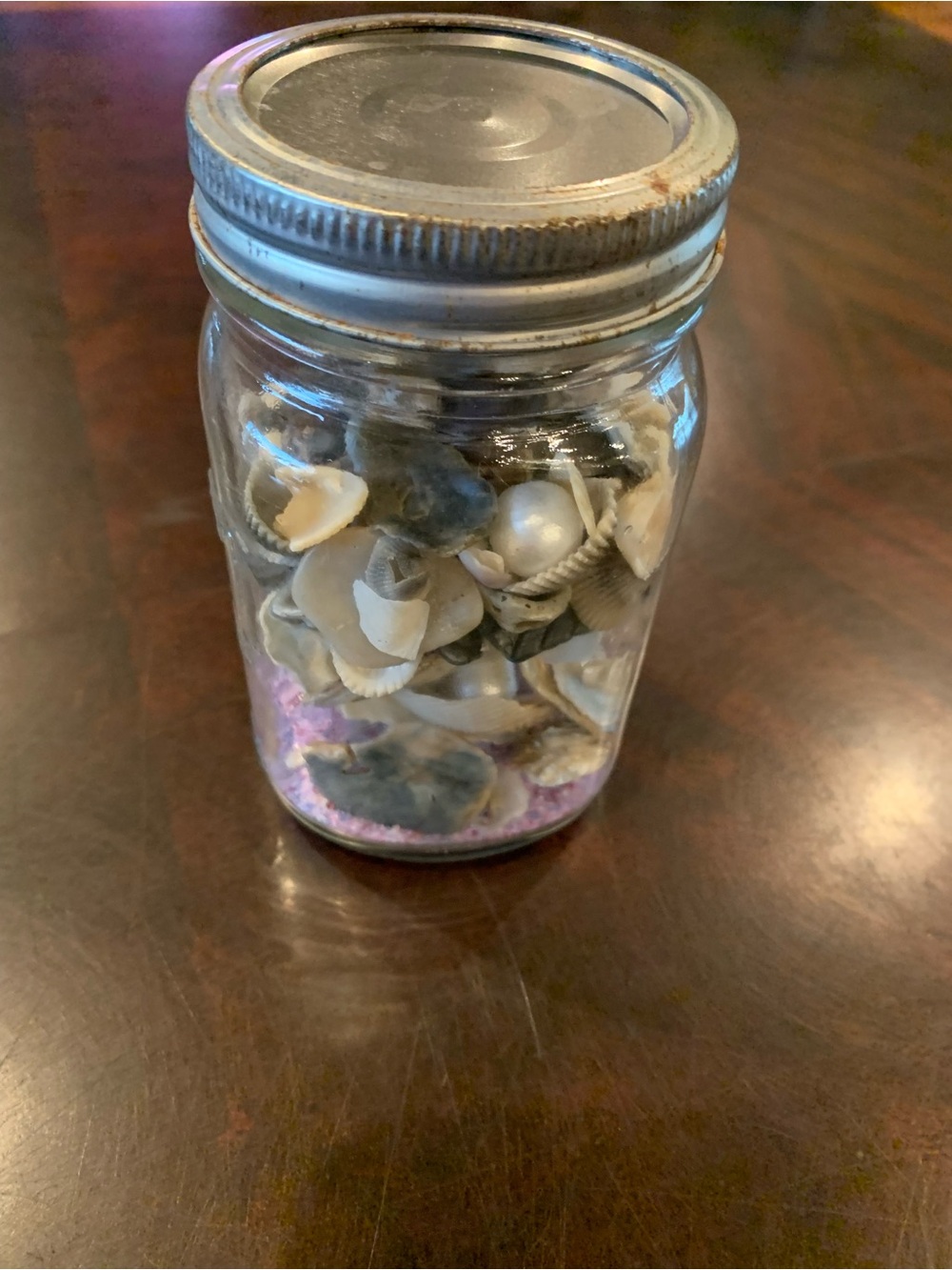 Seashell Jar Décor - Clear Glass with Silver Lid
